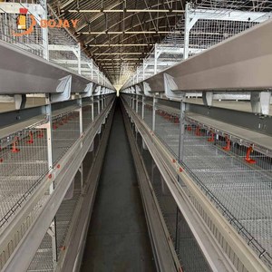 Jaula <span class=keywords><strong>de</strong></span> gallinas galvanizada <span class=keywords><strong>de</strong></span> diseño H completamente automática <span class=keywords><strong>de</strong></span> alta calidad, solución eficiente para la avicultura - Product Image 1