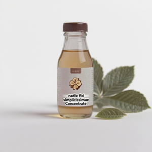 Natural Radix <span class=keywords><strong>Fici</strong></span> Simplicissimae concentrado Esencia de hierbas para la fabricación de bebidas - Product Image 1