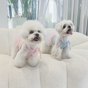 Robe Tutu pour Chien et Chat, Vêtements pour Petit Chien, Accessoires pour Animaux de Compagnie, Robe Assortie pour Chien et Propriétaire, Robe de Luxe pour Newfoundland - Product Image 2