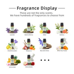 Elegante <span class=keywords><strong>serie</strong></span> de hoteles de 10ml para difusor de caña, difusor de fragancia de coche y aire con distribuidor de aceites esenciales Premium - Product Image 2