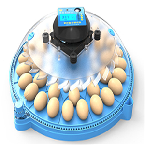Hot Bán Trong Nigeria Nhỏ Tự Động Trứng Lồng Ấp Tùy Chỉnh 24-100egg Tự Động Lồng Ấp Cho Gà Và Vịt Trứng - Product Image 6