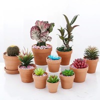 Lot de 6 pots à succulentes modernes en terre cuite non émaillée de 5,7 pouces avec soucoupe et trou de drainage pour usage intérieur/extérieur