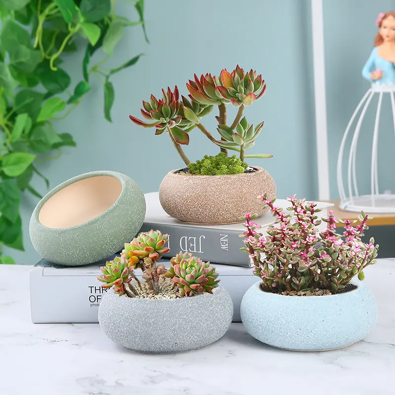 Vasi da fiori in ceramica smerigliata con stile di Design retrò smaltato per Cactus e piante grasse per uso commerciale