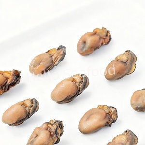 Ingrediente de Cocina Gourmet, Ostras Secas, Agrega un Sabor Profundo y Sabroso a Cualquier Plato - Product Image 2