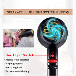 Venta al por mayor de fábrica, nuevo secador de pelo para mascotas, alta potencia, silencioso, iones negativos, perro, gato, baño, cuello colgante, tienda de mascotas, secador de pelo - Product Image 4