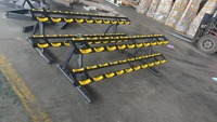 ASJ-L8056 OEM Racks à haltères de style chromé pour usage commercial en salle de sport, différentes tailles 6 8 10 paires, station multifonction