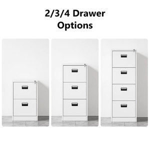 Tủ Đựng Đồ Nội Thất Văn Phòng Hiện Đại Thương Mại Tủ Đựng Hồ Sơ Bằng Kim Loại Có Ngăn Kéo Dọc A4 FC Tủ Đựng Hồ Sơ Bằng Thép - Product Image 1