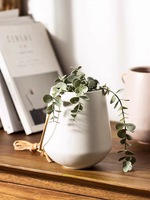 Pot de fleurs suspendu en céramique épaissie OEM Chlorophytum avec trou de drainage, style chinois, pour jardin et usage domestique