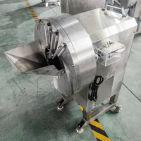 YOUBAN Industriële Automatische Groentesnijmachine Wortel Gember Aardappel Snijder/Schaaf voor Chips en Reepjes Verwerking