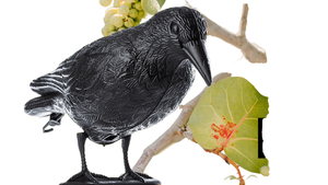 Vente en gros de leurre 3D chinois pour effrayer les oiseaux de jardin corbeau en plastique noir pour la chasse - Product Image 6