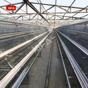 Fourni Bonne Qualité Coop Corée du Sud Poulailler Poulailler Elevage de Poulet Poulailler en Bois avec Boîte Oeuf Inférieur Cassé Taux 62 - Product Image 1