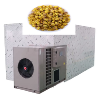 Système de déshydratation de fleurs intelligent à contrôle de température, mode économie d'énergie, déshydrateur de chrysanthèmes hors réseau