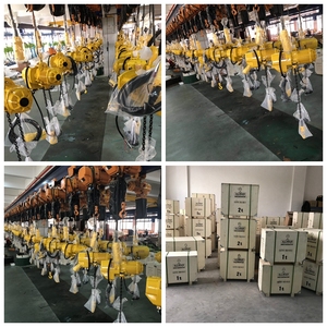 Allmanem Nhà Máy Giá chuỗi hoist1 tấn 2 tấn 3 tấn 5 tấn 7.5 tấn nâng Palăng xích điện Palăng cần cẩu - Product Image 5