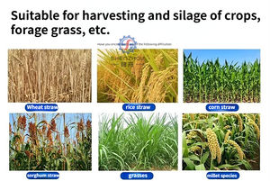 Offre Spéciale autopropulsée paille de maïs et napier herbe ensilage récolteuse de fourrage machine agricole pour la récolte des éléphants et des céréales - Product Image 5