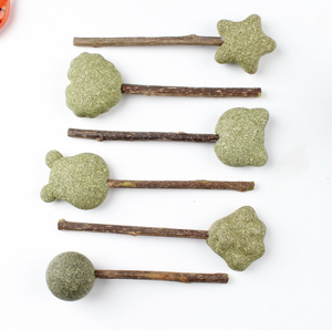 Planta Natural para limpieza de dientes de gato, palitos para masticar, hierba gatera, piruleta, juguete para gato - Product Image 1