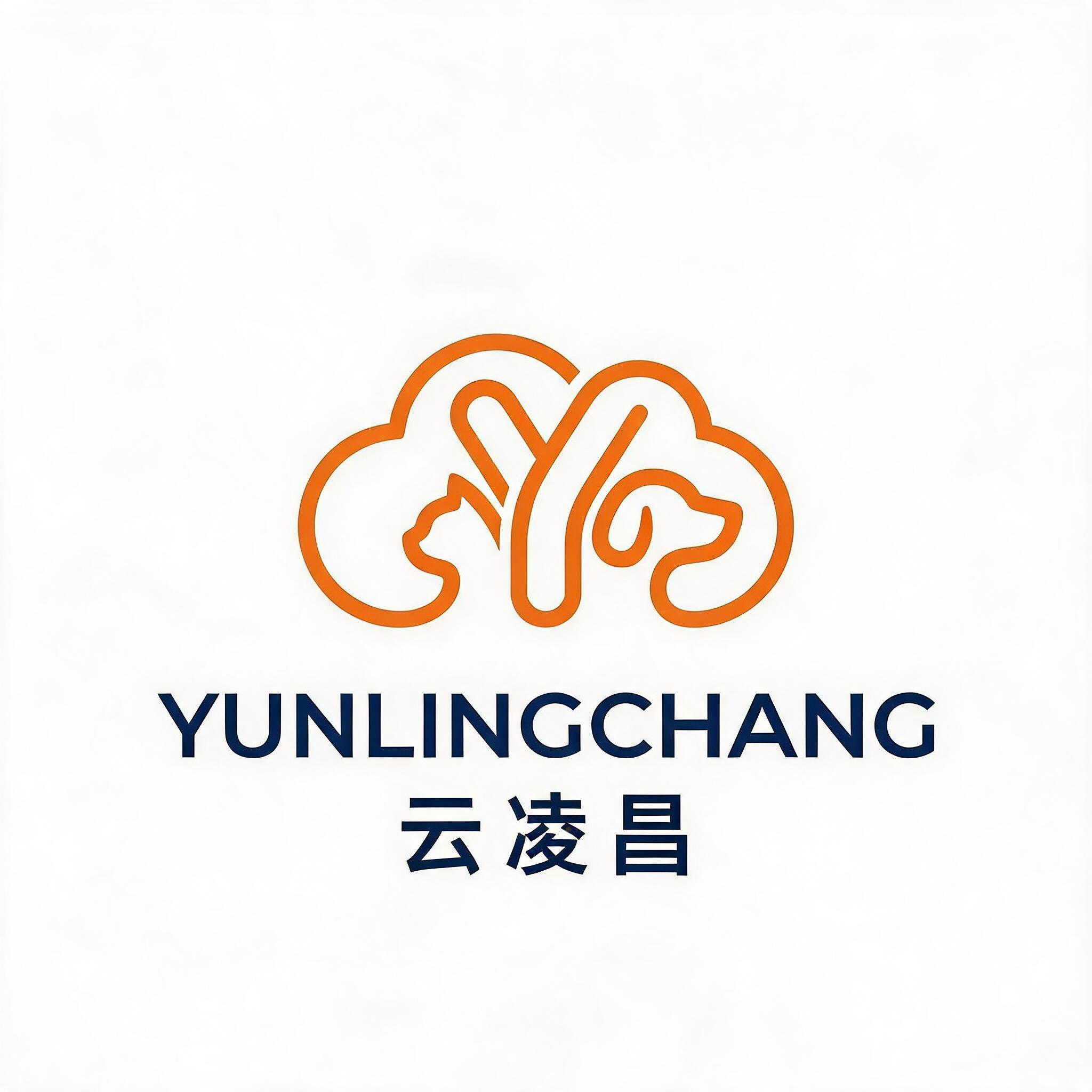 Jiangxi Yunlingchang Technology Co., Ltd. logo