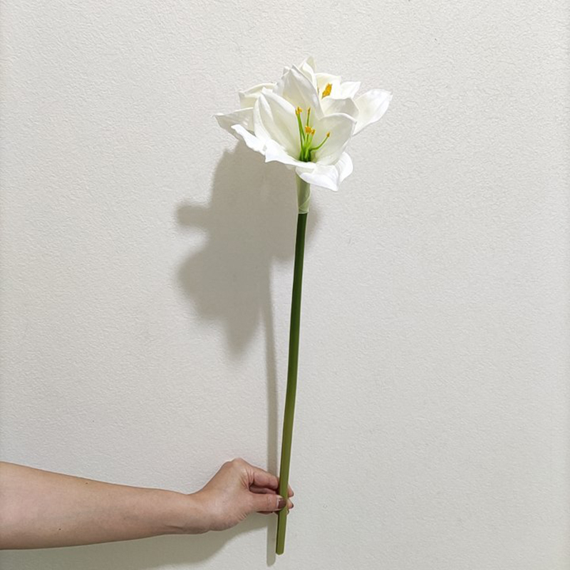 รหัสสินค้า: YL80469