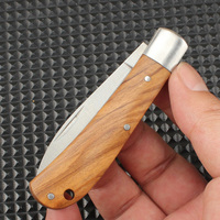 Fabrieksgroothandel 5cr13 staal fruitmes kamperen outdoor survival survival zakmes draagbaar opvouwbaar mes schaduw houten handvat