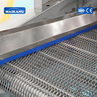 Geavanceerde grote capaciteit flip-air-dry continu werkende machine van SUS304 roestvrij staal voor groenten, fruit en vis