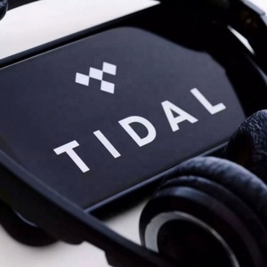 Abonnement Panuniverse Tidal Music Premium Hifi Plus 6 mois en stock - Product Image 4