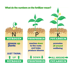 Bột phân bón hoa hữu cơ giàu chất dinh dưỡng cho sức khỏe của đất và nở hoa đẹp - Product Image 3