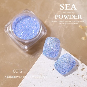 Venta caliente nuevo brillo polvo 12 colores baile decorativo uñas diamante pigmento - Product Image 1