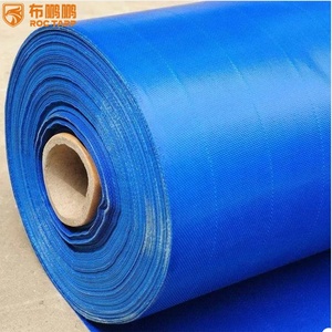 Rouleau de bâche PE ignifuge antistatique PE tissu Transparent <span class=keywords><strong>serre</strong></span> tente feuille maille tissé motif <span class=keywords><strong>pour</strong></span> voitures serres - Product Image 2