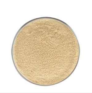 China <strong>Supplier</strong> Bulk Price <strong>Bromelain</strong> Enzyme 100000u/g <strong>Bromelain</strong> Pineapple Extract Powder - Product Image 2