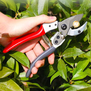Thép Carbon Cao Khác Hand Vườn Thiết Bị Và Công Cụ Cắt Kéo Làm Vườn Trim Kéo Tỉa Shears Nhà Máy - Product Image 2