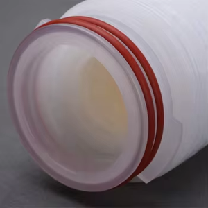 1.0 Um Ptfe Membraanfilterpatroon Met 69Mm Buitendiameter Voor Steriele Ontluchting En Gasfiltratie - Product Image 5