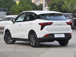 Hozon Neta V Lite Versión Chao, Auto Eléctrico con 301 km de Autonomía - Product Image 6