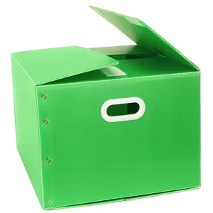 Corrugated plastic correx Bike motorcycle scooter delivery box for pizza