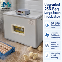 Incubadora de Aves de Corral Automática de Acero Inoxidable de Alta Capacidad para 256 Huevos, Doble Alimentación de Respaldo, Control Inteligente de Temperatura para Pollos y Patos