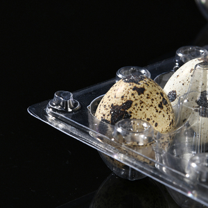 Bandeja para Huevos de Codorniz de Material <span class=keywords><strong>PET</strong></span> de Grado Alimenticio, Alta Transparencia, 30/5*6 Piezas, 198x164x40mm, Venta Caliente, Suministros para Supermercados - Product Image 6