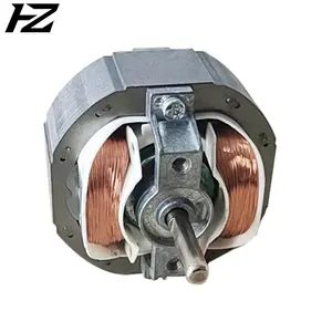 AC 110-220V isıtıcı motor gölge kutuplu motor egzoz fan motoru