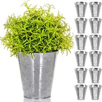 Set 12 Pot Bunga Mini Besi Galvanis, Pot Tanaman Logam Perak Bentuk Kerucut, Pot Tanaman Galvanis Kecil Serbaguna