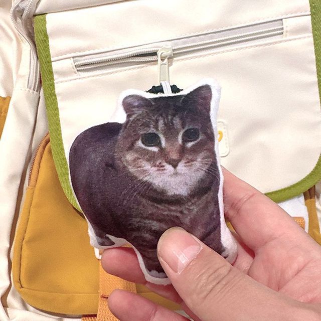 Cute Cat Meme Sound Keychain Funny Plush Animal Bag Pendant Voice Recording Toy for Backpack Decoration and Gifts
