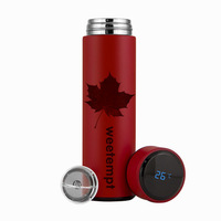 Bouteille isotherme intelligente moderne et écologique personnalisée avec logo, 500 ml, affichage numérique de la température LED, filtre en acier inoxydable, vide