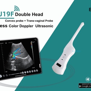 Sonde échographique Doppler couleur sans fil 2-en-1 de haute qualité, très vendue, pour usage médical (lumineux et abdominal) et vétérinaire DCU19F - Product Image 2