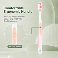 Brosse à dents manuelle pour adultes en gros avec poils confortables et manche en plastique pour l'hygiène bucco-dentaire quotidienne