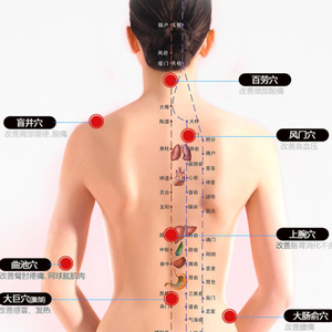 Estimulador de Salud de 6 Canales de Salida SDZ-2 SDZ-II de la Marca HWATO, Equipo Médico, Estimulador de Acupuntura Electrónico Automático - Product Image 6
