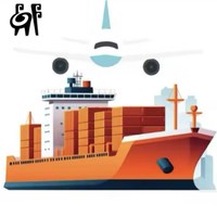 Services de conteneurs fiables pour le transport maritime DDU depuis la Chine vers l'Irak avec options LCL et Express
