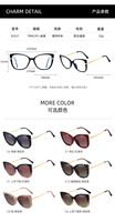 Lunettes Sparloo 91517 2 en 1 Premium bloquant la lumière bleue, lunettes de soleil polarisées à clip Ultem