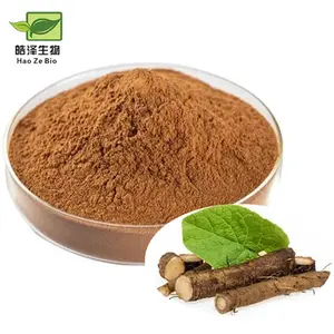 Fábrica Fornecimento Orgânico 10:1 Bardana Root Extract Pó