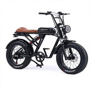 Triciclo Eléctrico de Ocio con Marco de Acero de 48V, Una Velocidad, Diseño de Carga para Dos Pasajeros, Uso Doméstico, 600W - Product Image 1