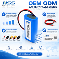 Batterie Li-ion 2S 7.4V 800mAh rechargeable avec BMS intégré pour dispositif de surveillance GPS et instrument portable OEM