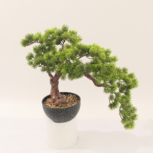 JWT3815 Pin bonsaï usine vente directe artificielle accueillant pin bonsaï fleur vert taille pot arbre décoration beauté plante - Product Image 2