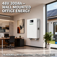 Baterai LiFePO4 48V 14kWh 300Ah untuk Sistem Surya All in One yang Dipasang di Dinding dengan Roda