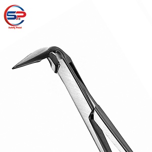 Dentaire médical Steiglitz Post et Retrait De Point Forceps Chirurgical Instruments Endodontiques - Product Image 1