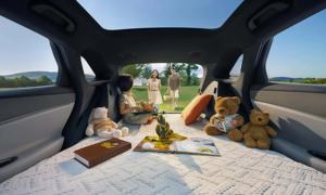 BYD Healion 6 SUV hybride 4 roues motrices, conduite à droite, 5 portes, 5 places, hybride essence-électrique, norme d'émission Euro VI - Product Image 5